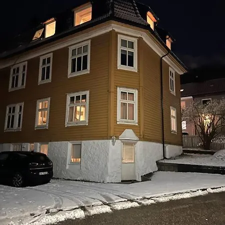 Naerhet Til Og Sentrum Apartment